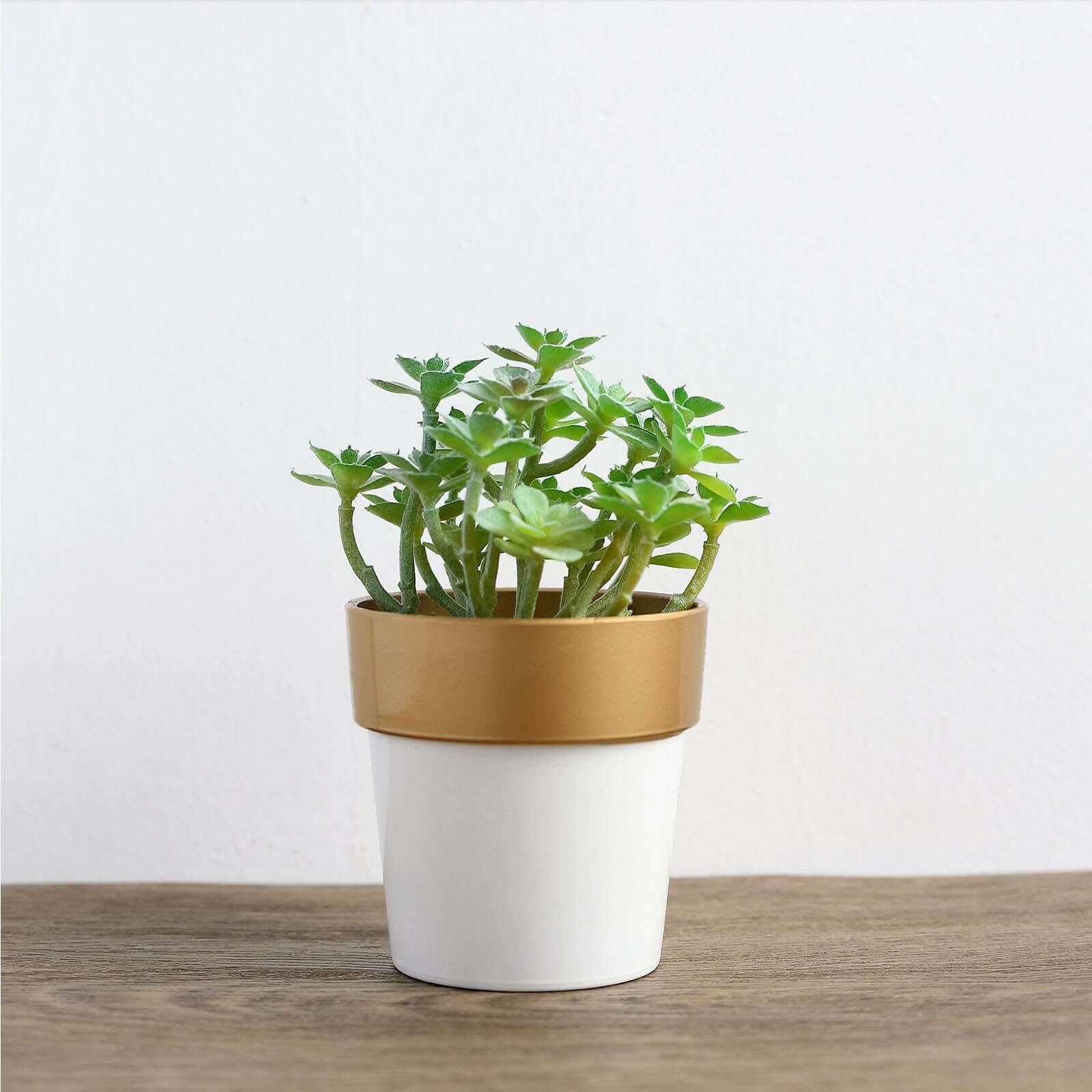 3-Pack Flower Plant Pots Small Design White with Gold Rim - Plastic Indoor Decorative Planters 3