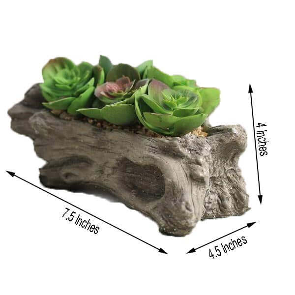 Perle Von Nurnberg Artificial Succulents Arrangements in 7 Log Planter - Lifelike Faux Plant for Stylish Home Bathroom Tabletop Indoor Outdoor Greenery Decor