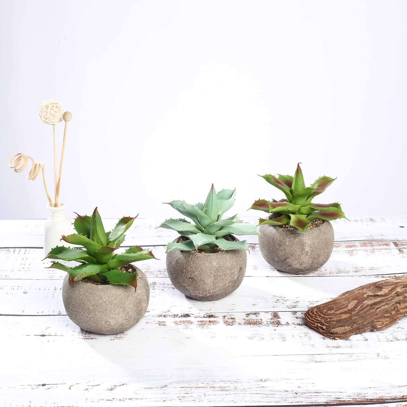 3-Pack Aloe Artificial Succulents in Ceramic Pot - Lifelike Decorative Faux Plants for Home Office & Event Design 5