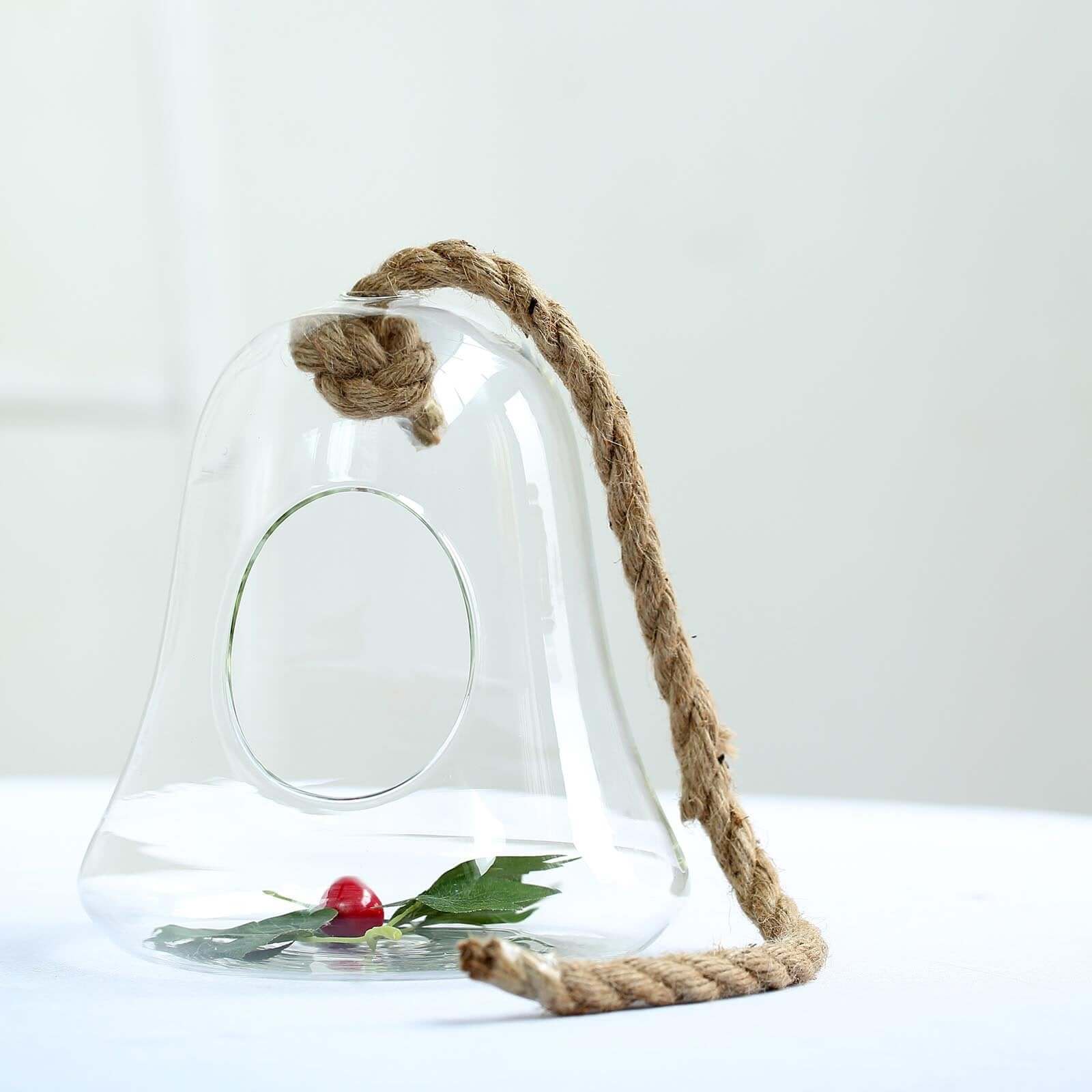 Glass Terrarium Hanging Bell Shaped Design with Twine Rope - Unique Free-Falling Planter for Air Plants & Displays 9