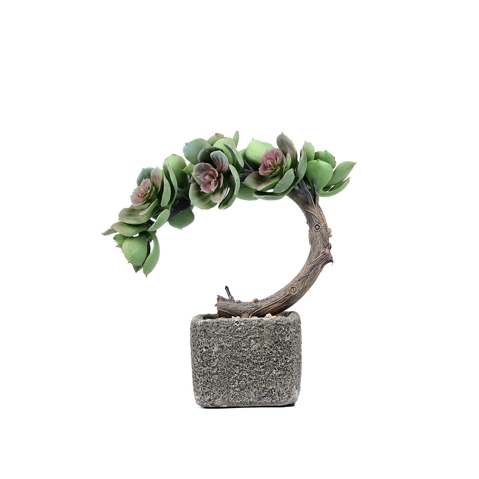 Perle Von Nurnberg Artificial Succulents in Concrete Pot - Lifelike Decorative Faux Plants for Home Office & Event Design 8