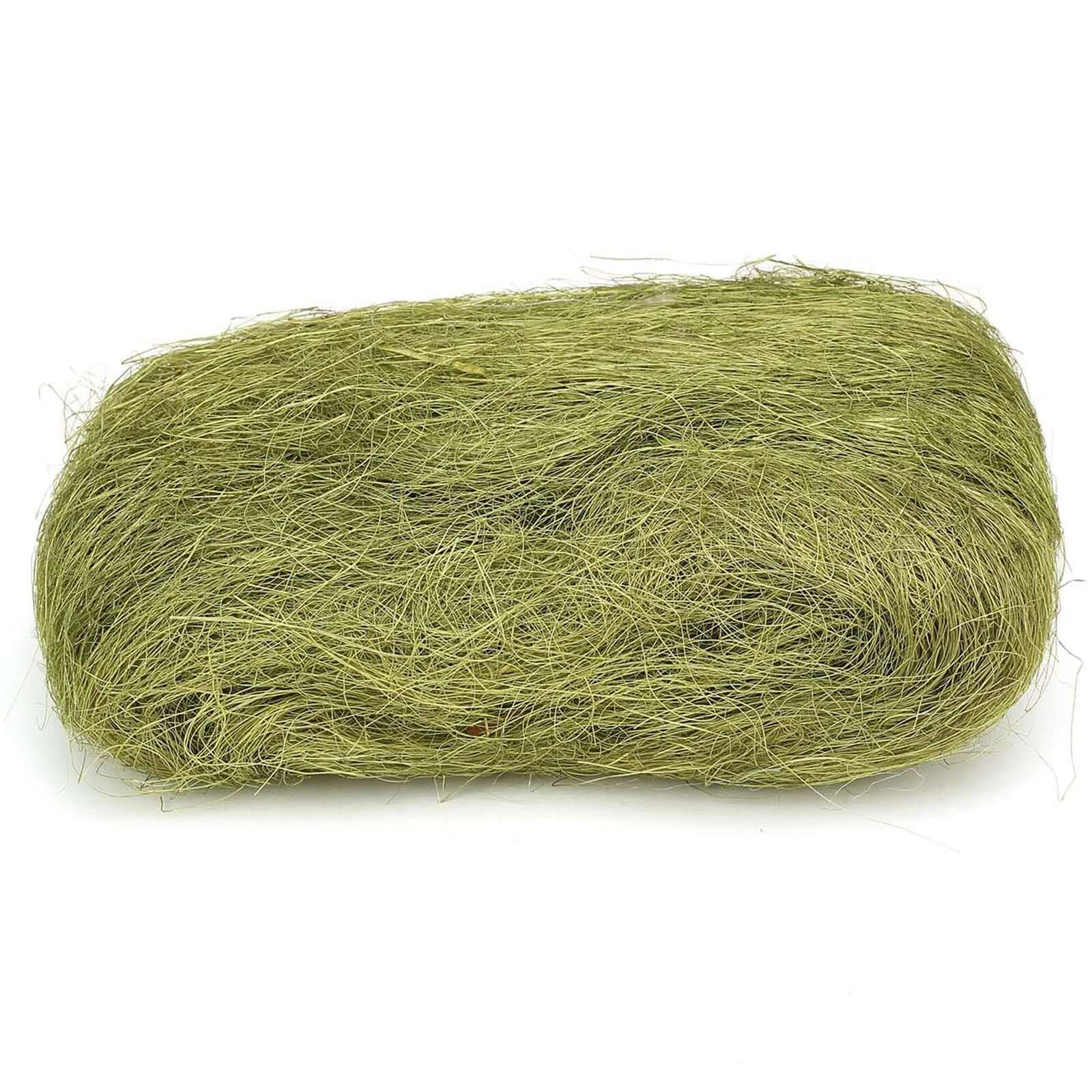 Natural Preserved Moss Grass DIY Gift Box Fillers Green - Craft Decoration Supplies 50g