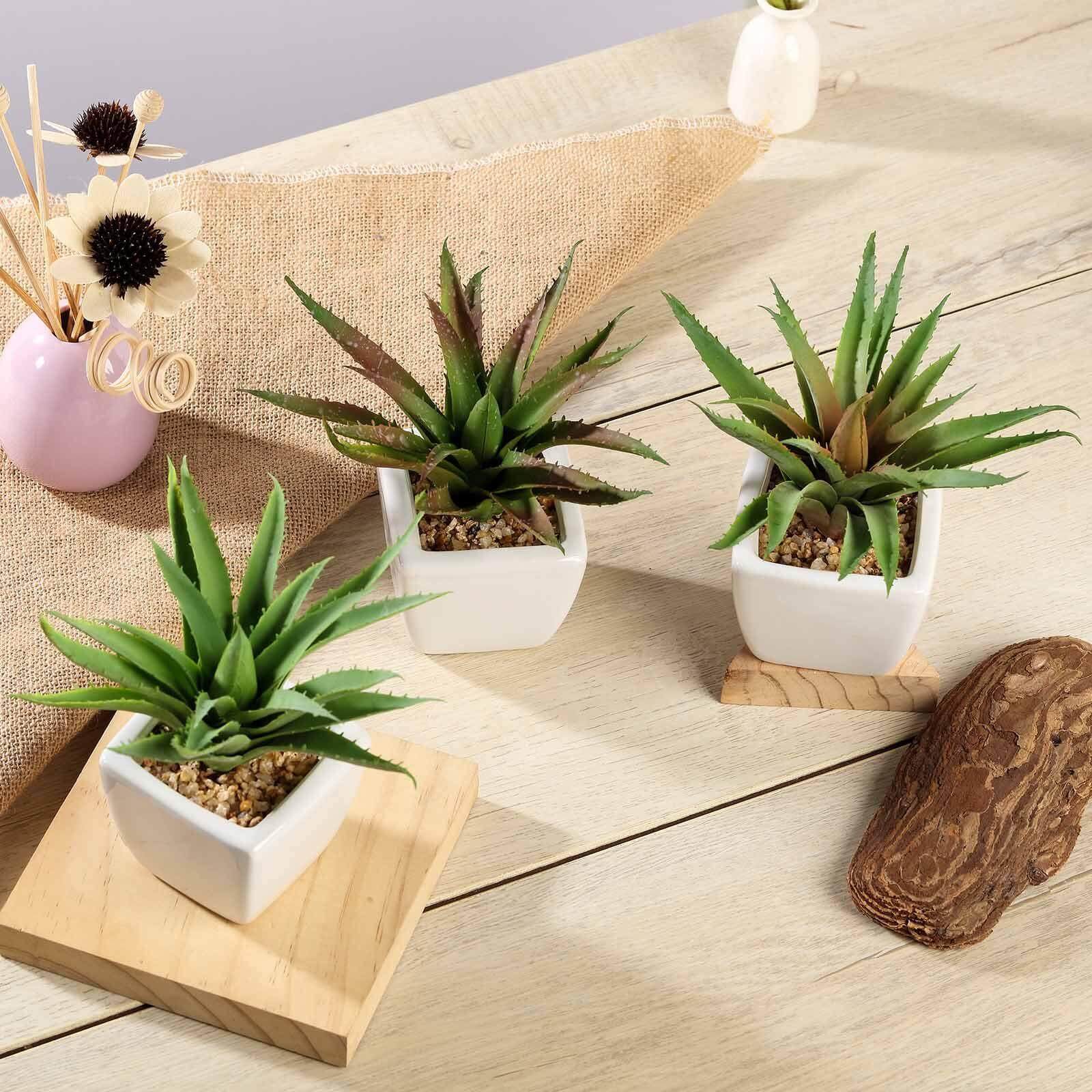 3-Pack Spotted Aloe Vera Artificial Succulents in Ceramic Pot - Lifelike Decorative Faux Plants for Home Office & Event Design 5