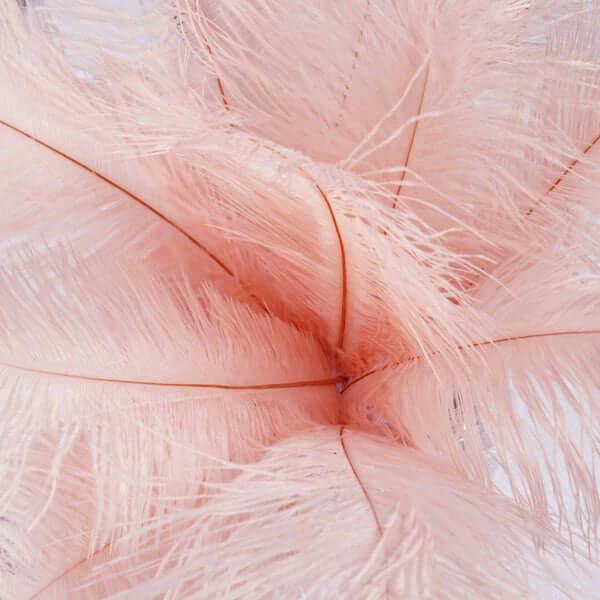 12 Pack 13-15 Rose Gold Natural Plume Real Ostrich Feathers, DIY Centerpiece Fillers