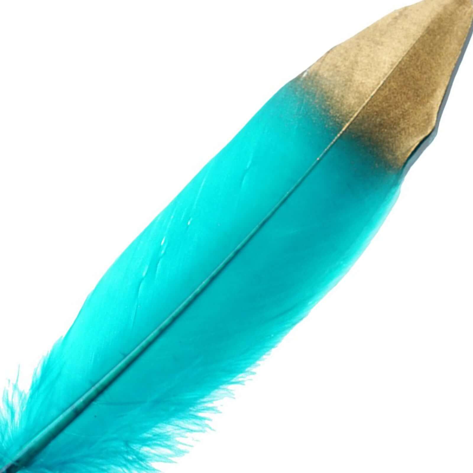 30 Pack Metallic Gold Dipped Turquoise Real Goose Feathers, Craft Feathers For Party Decoration