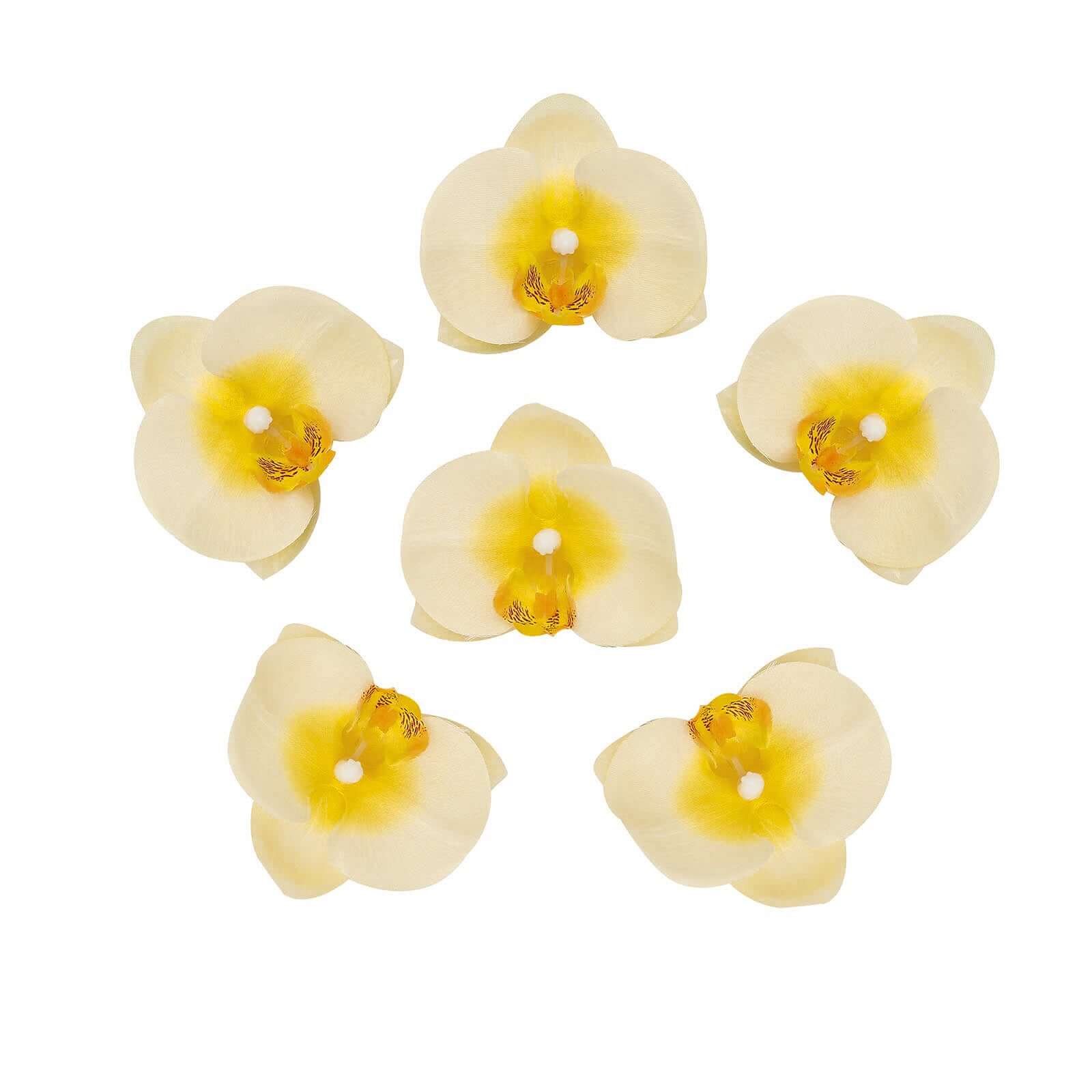 20 Silk Artificial Orchids Flower Heads Yellow - Versatile Floral Accents for DIY Floral Arrangements Corsages & Event Decor 4