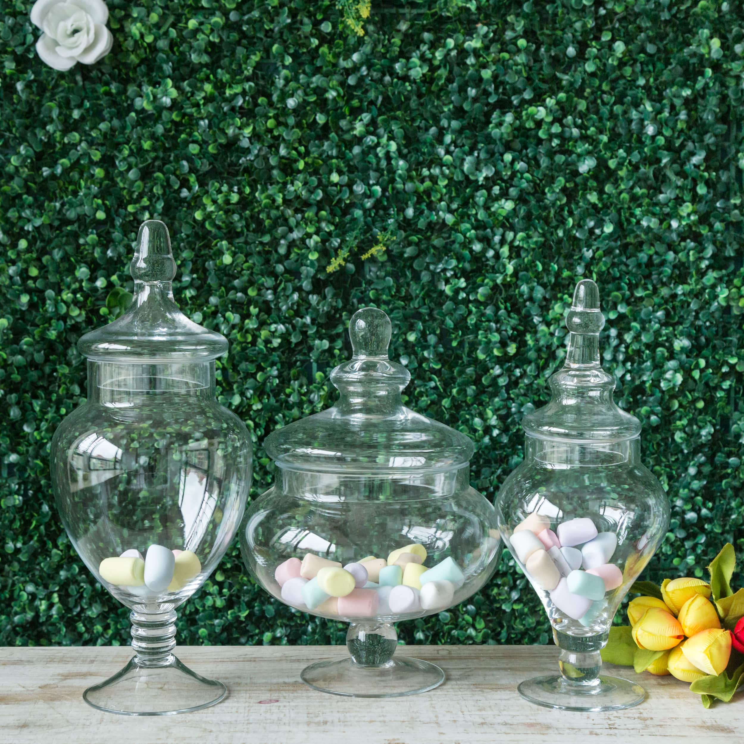 Set of 3 Glass Candy Jars Pedestal Apothecary Design Clear with Snap-On Lids - Stylish Party Favor Containers 10/12/14