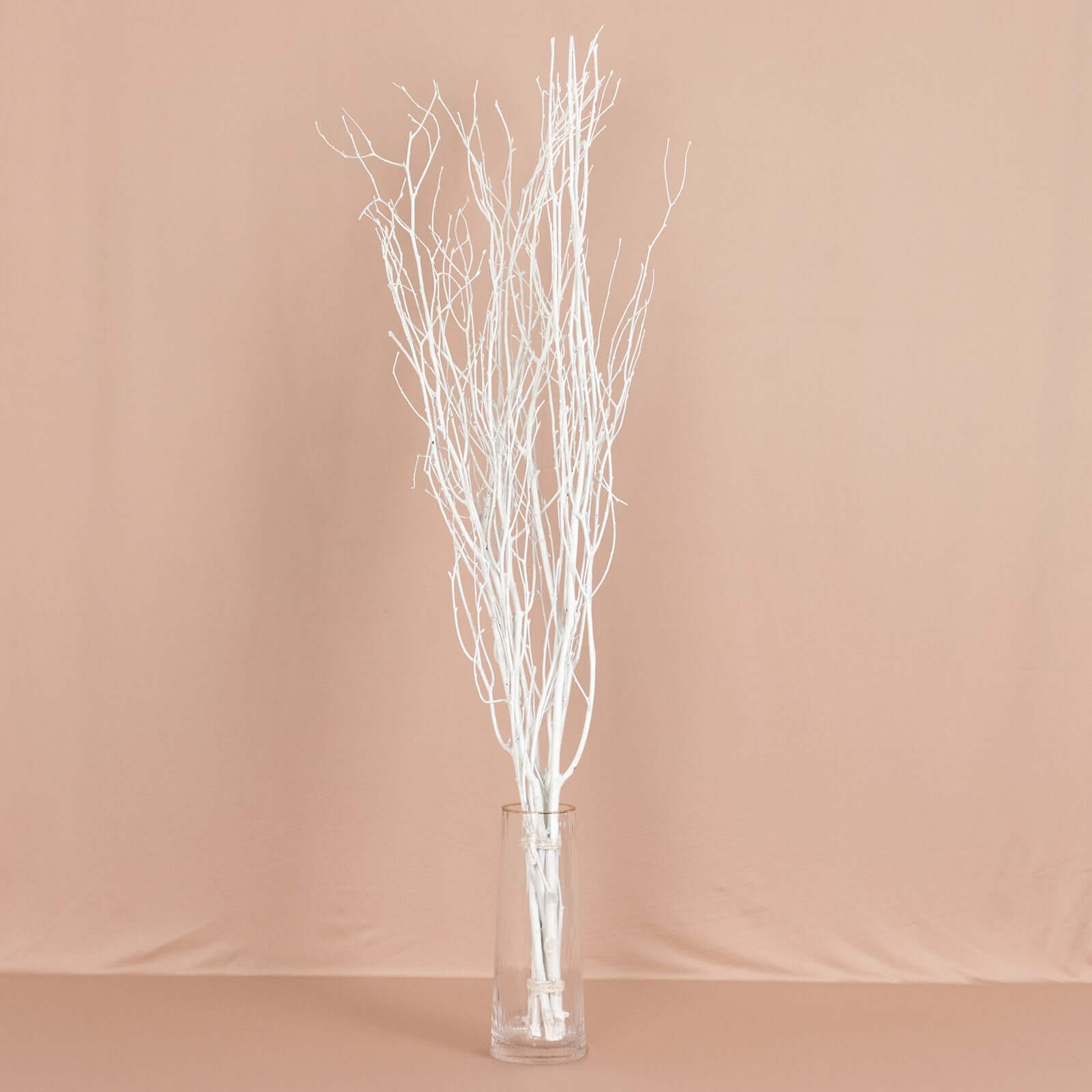 6-Pack Natural Birch Tree Branches 46 White - Versatile Extra Long Decorative Dried Willow Twigs Sticks for Vase Centerpiece Wedding Decor