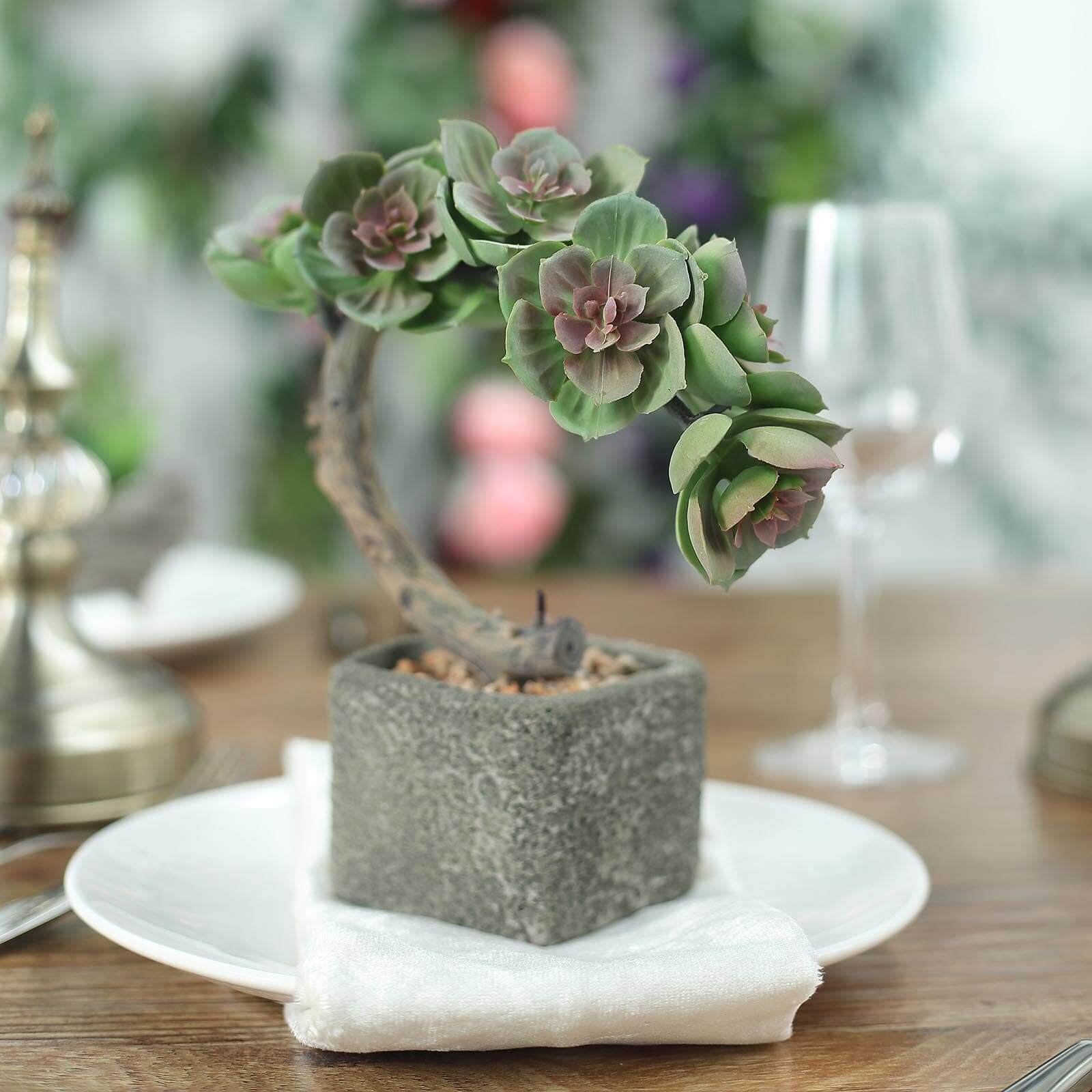 Perle Von Nurnberg Artificial Succulents in Concrete Pot - Lifelike Decorative Faux Plants for Home Office & Event Design 8