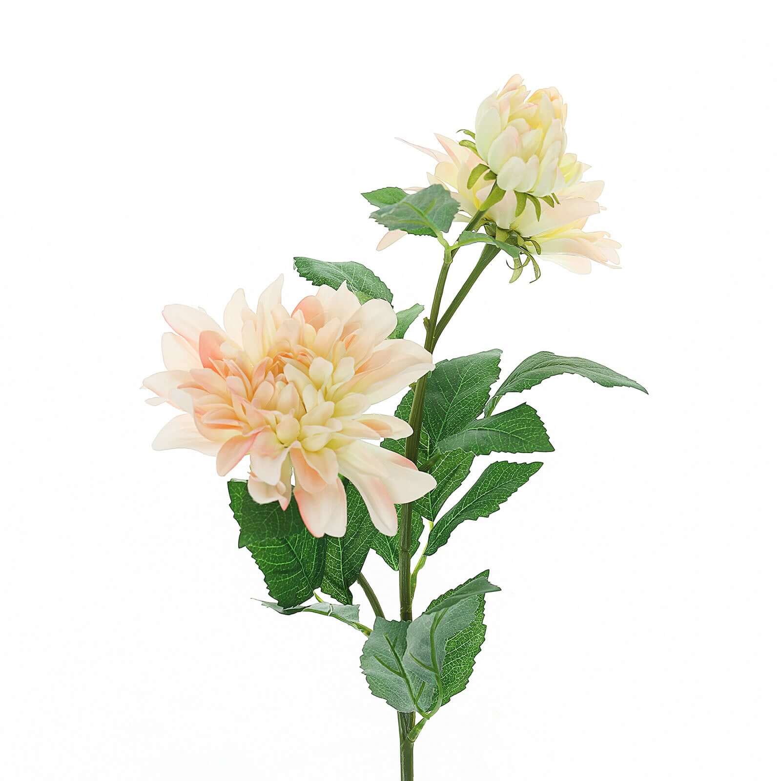 30 Tall Blush Cream Artificial Dahlia Silk Flower Stems, Faux Floral Spray
