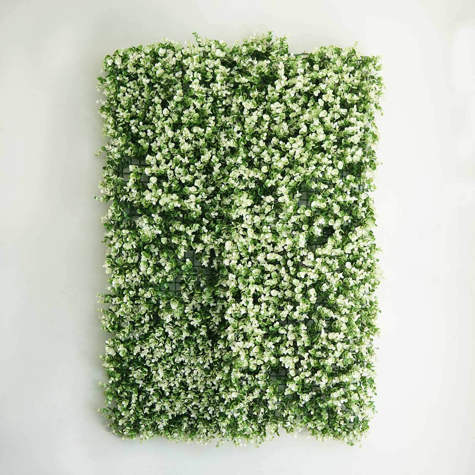 11 Sq ft. White Tip Green Boxwood Hedge Genlisea Garden Wall Backdrop Mat - 4 Artificial Panels