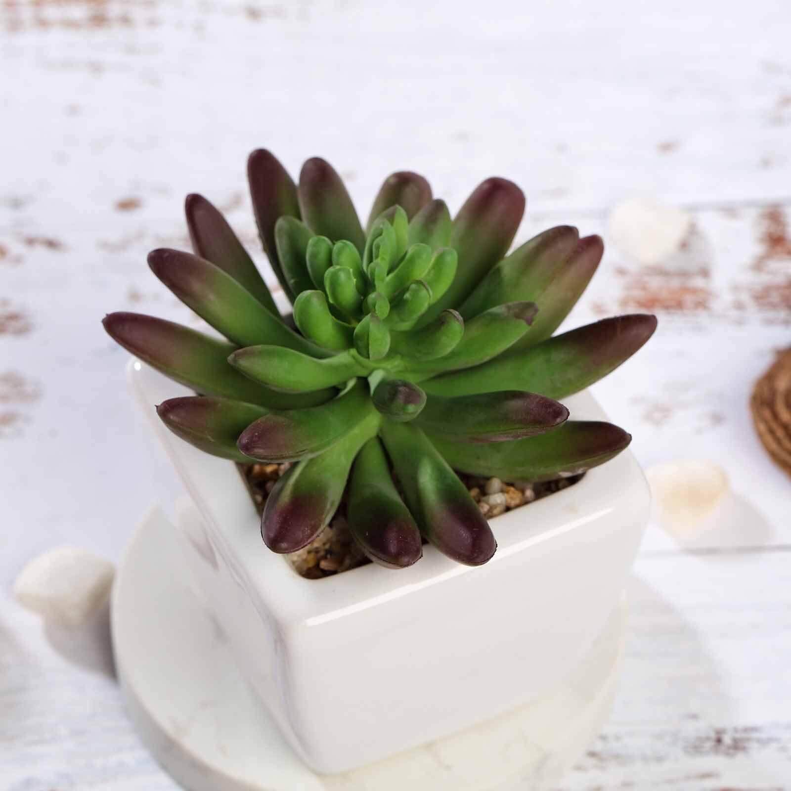 3-Pack Lotus Artificial Succulents in Ceramic Pot - Lifelike Decorative Faux Plants for Home Office & Event Design 4