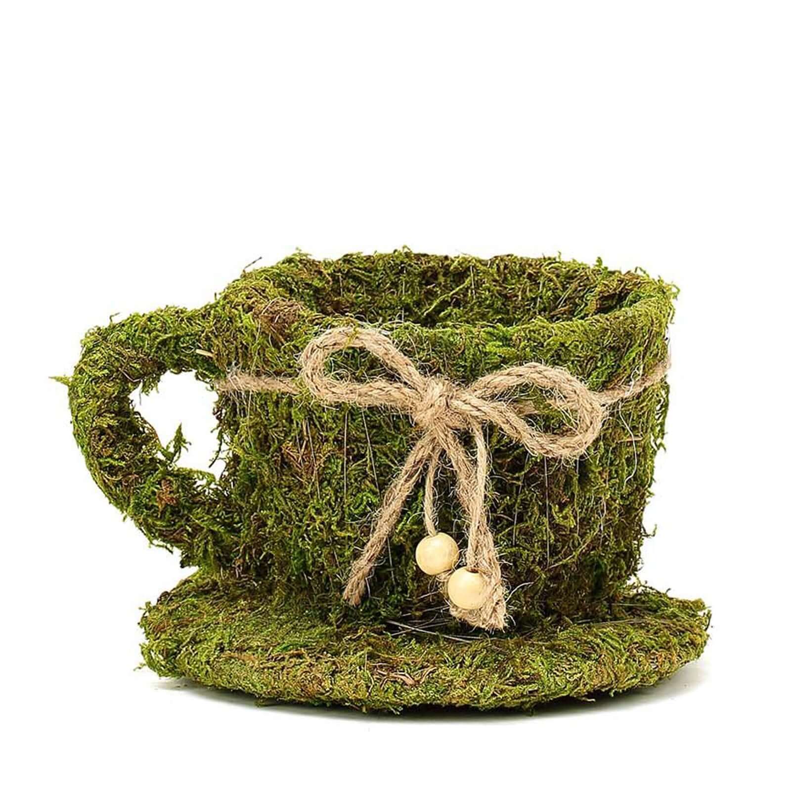 Set of 2 Teacup Shaped Planter Boxes Preserved Moss with Twine Green - Flower Basket Centerpieces 5, 4