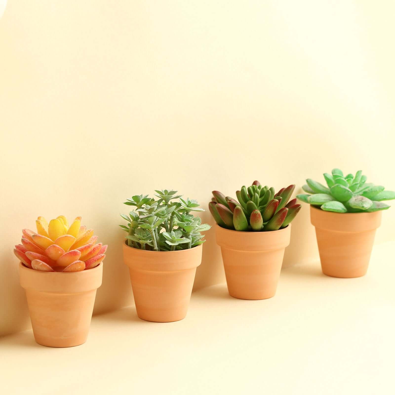 24-Pack Favor Buckets Mini Terracotta Pots Rust Design - Ceramic Clay Planters for Succulents and Cactus 2.5