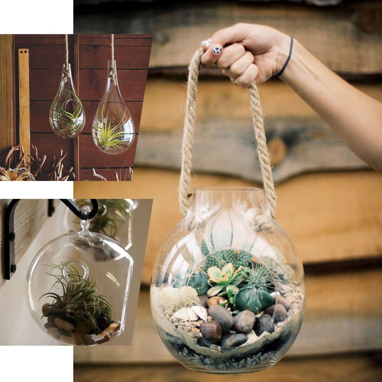 3-Pack Glass Wall Vase Hanging Rhombus Design Indoor Planters - Modern Wall Mounted Terrariums for Living Spaces