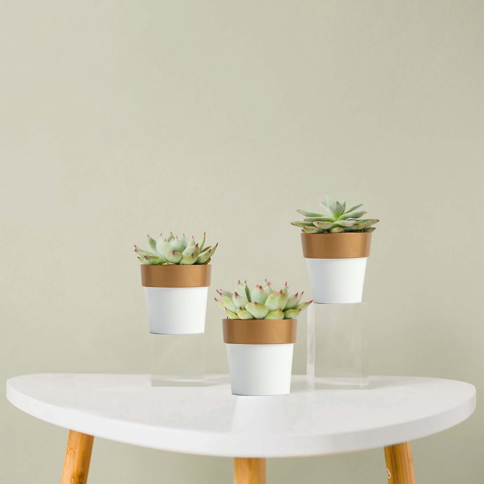 3-Pack Flower Plant Pots Small Design White with Gold Rim - Plastic Indoor Decorative Planters 3