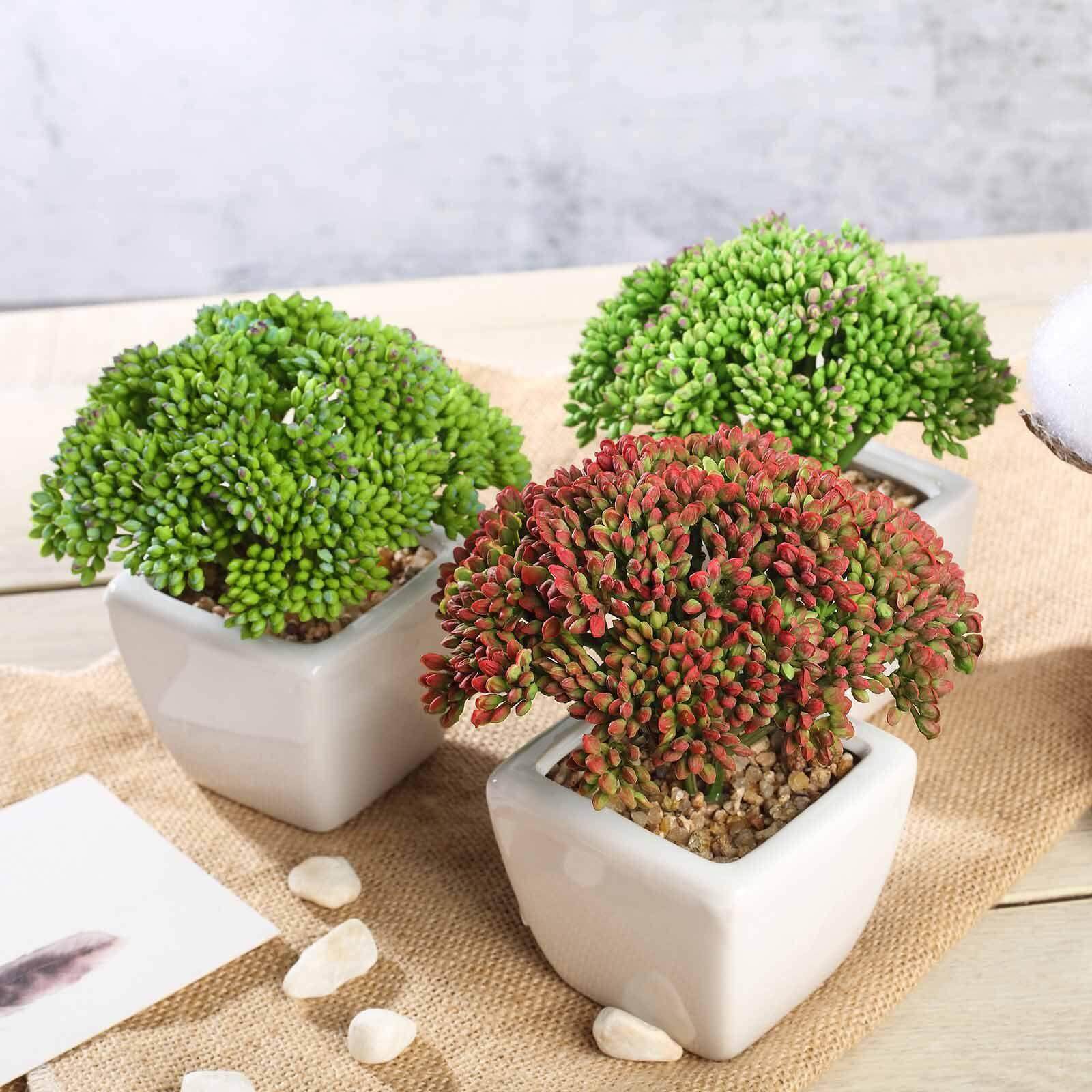 3-Pack Joy Sedum Artificial Succulents in Ceramic Pots - Lifelike Decorative Faux Plants for Home Office & Event Design 6