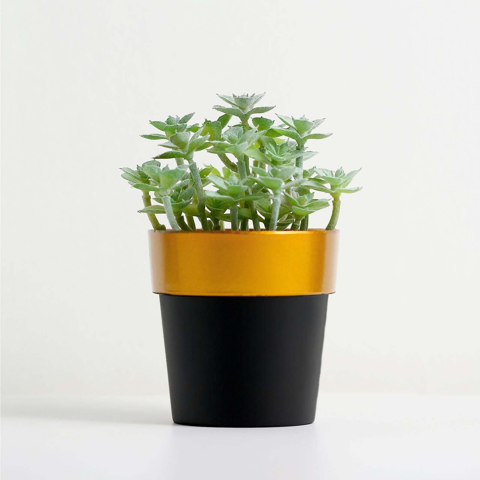 3-Pack Flower Plant Pots Small Design Black with Gold Rim - Plastic Indoor Decorative Planters 3