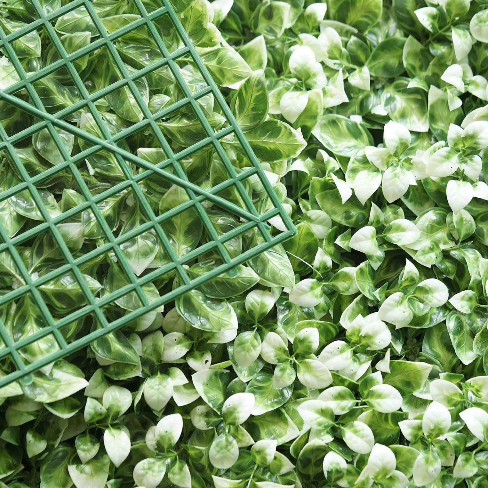 11 Sq ft. White Tip Green Boxwood Hedge Garden Wall Backdrop Mat - 4 Artificial Panels