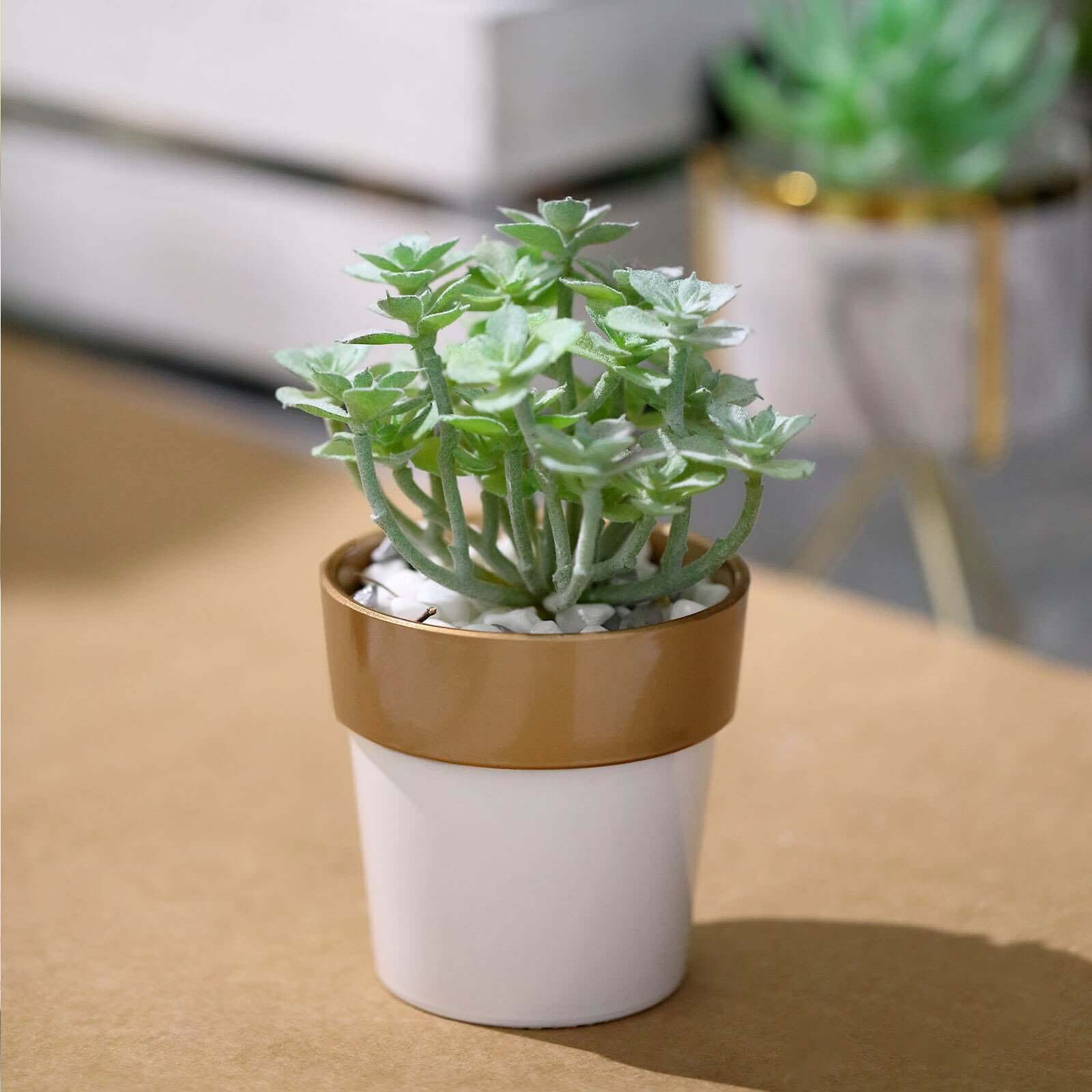 3-Pack Flower Plant Pots Small Design White with Gold Rim - Plastic Indoor Decorative Planters 3