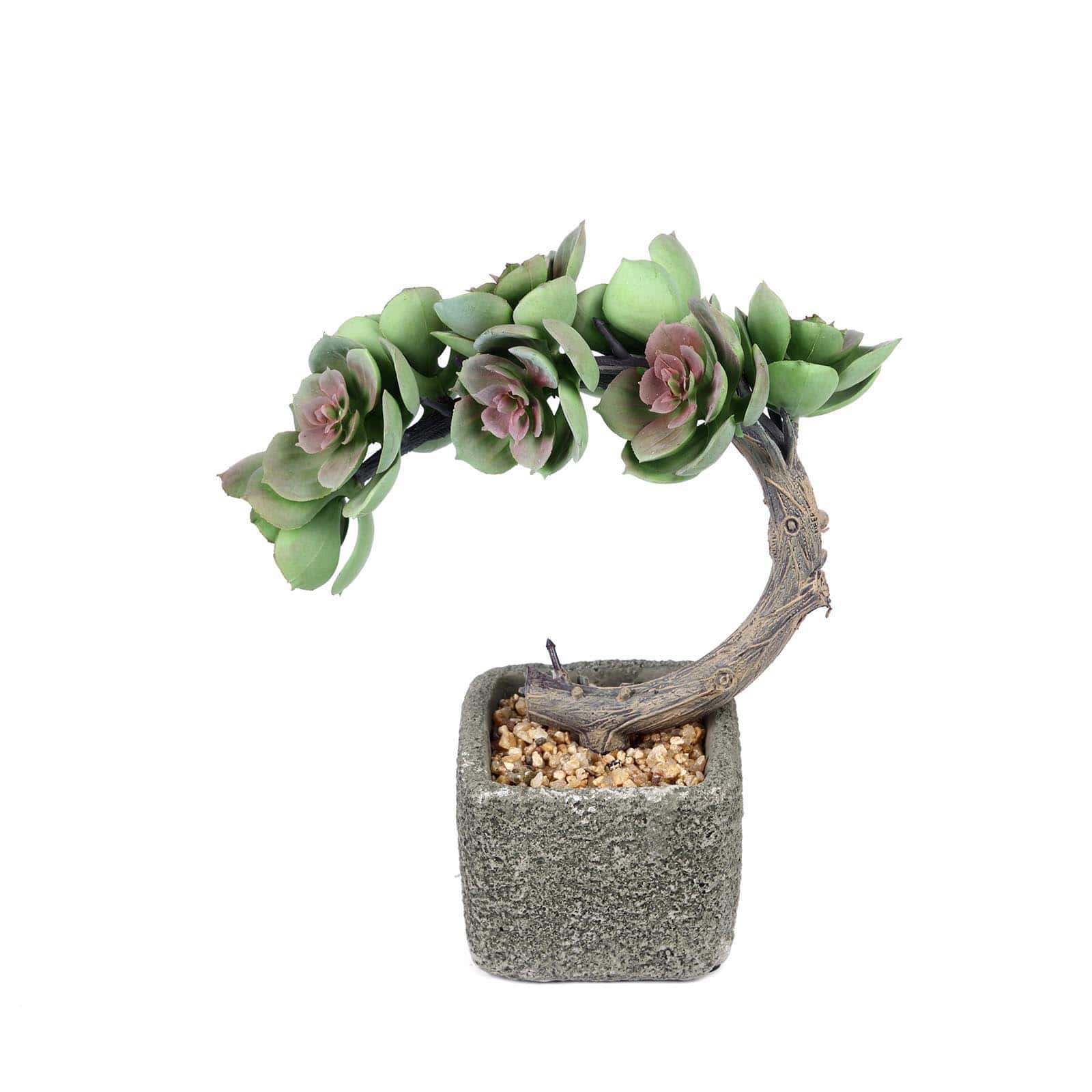 Perle Von Nurnberg Artificial Succulents in Concrete Pot - Lifelike Decorative Faux Plants for Home Office & Event Design 8