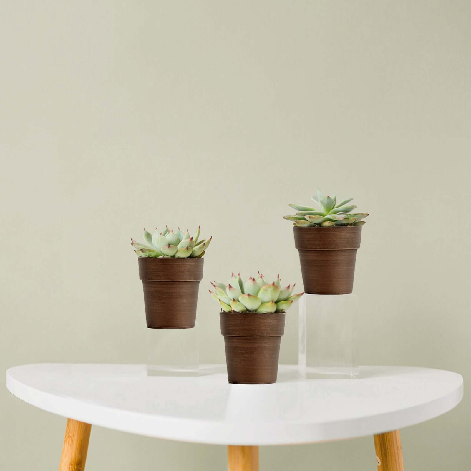 3-Pack Flower Plant Pots Small Design Rustic Brown - Plastic Indoor Decorative Planters 3