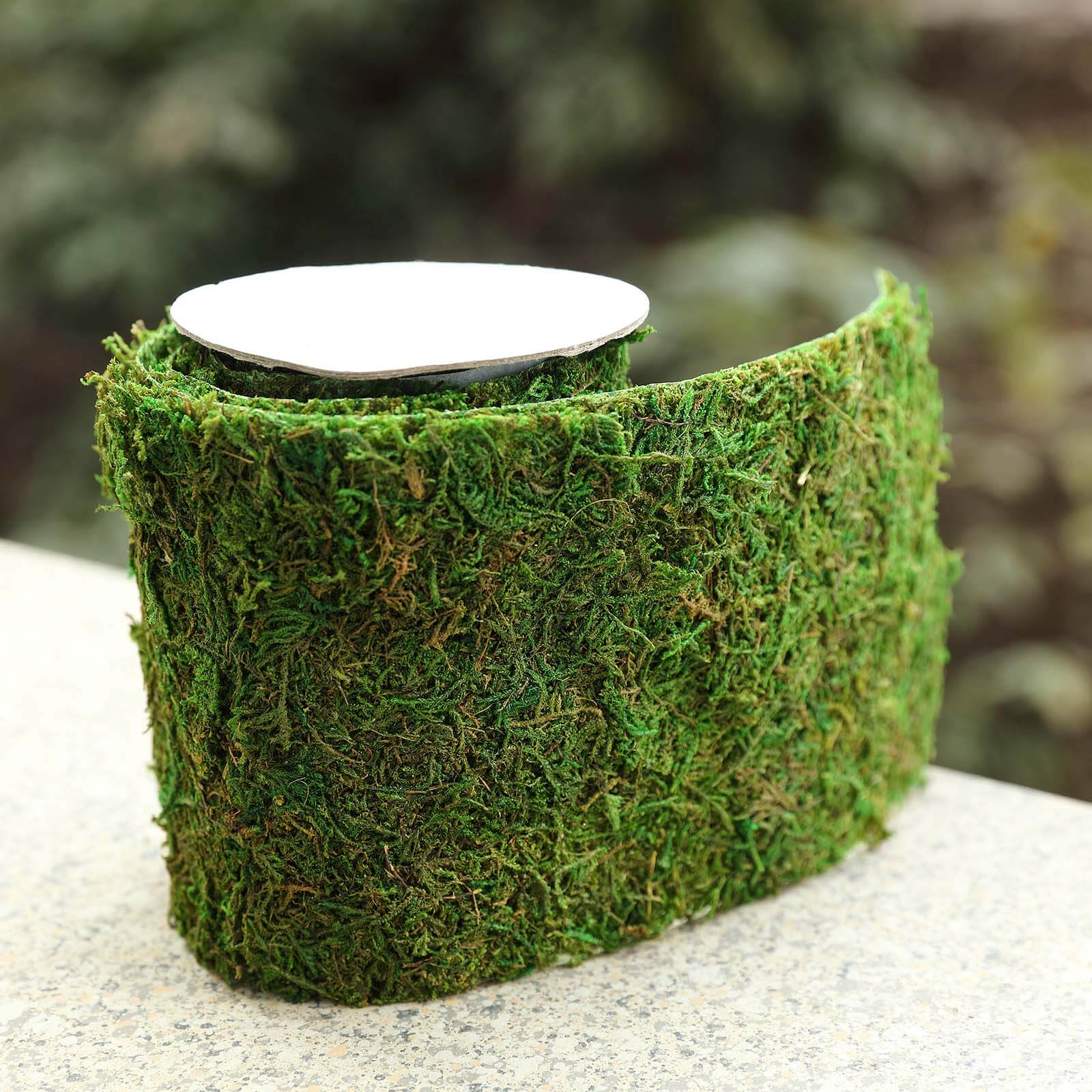 4ft 5 Wide Green Preserved Moss Ribbon Roll, DIY Craft Ribbon