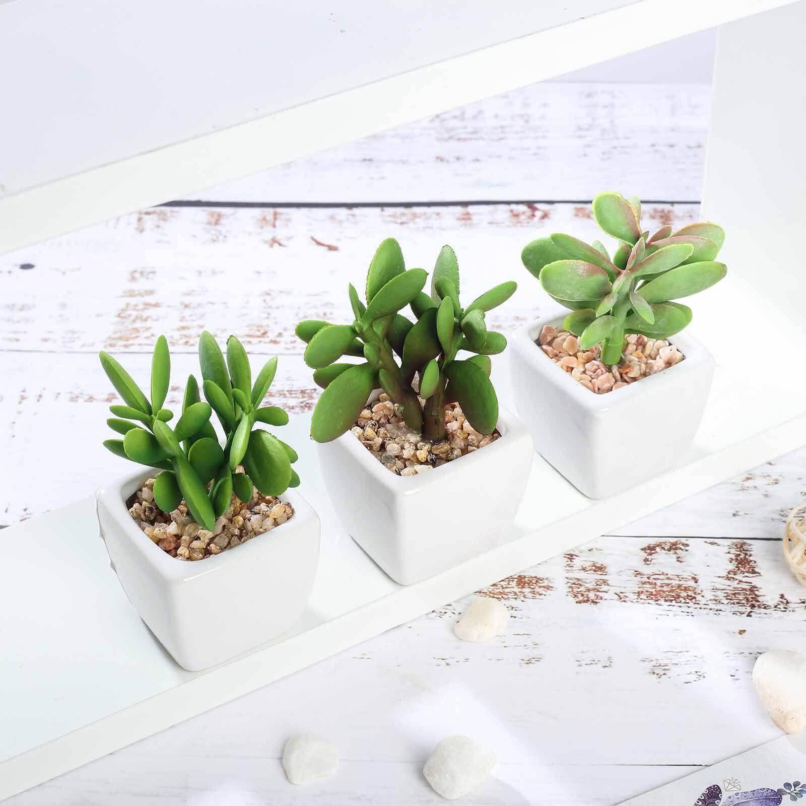 3-Pack Mini Jade Artificial Succulents in Ceramic Pots - Lifelike Decorative Faux Plants for Home Office & Event Design 3