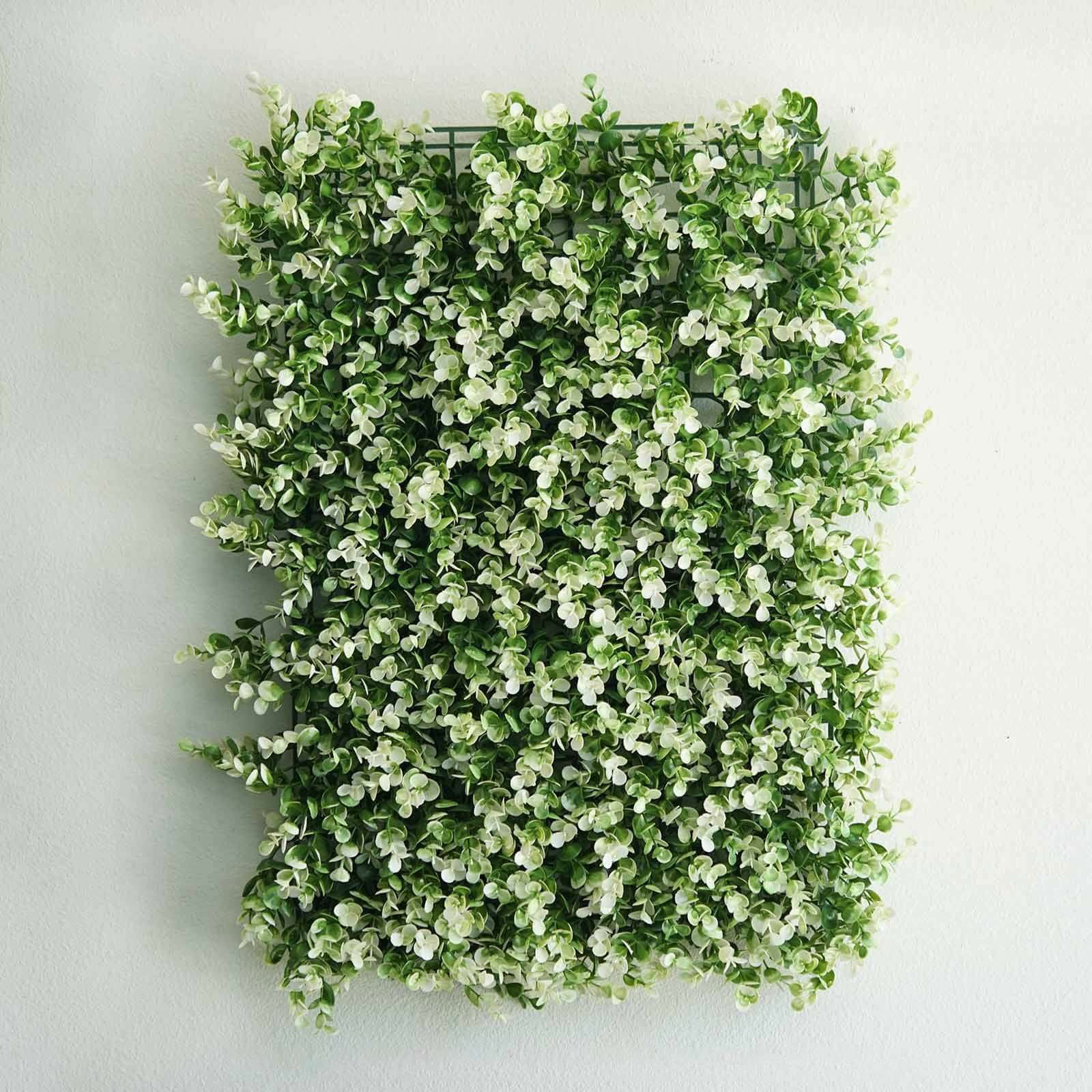 11 Sq ft. White Tip Green Boxwood Hedge Genlisea Garden Wall Backdrop Mat - 4 Artificial Panels