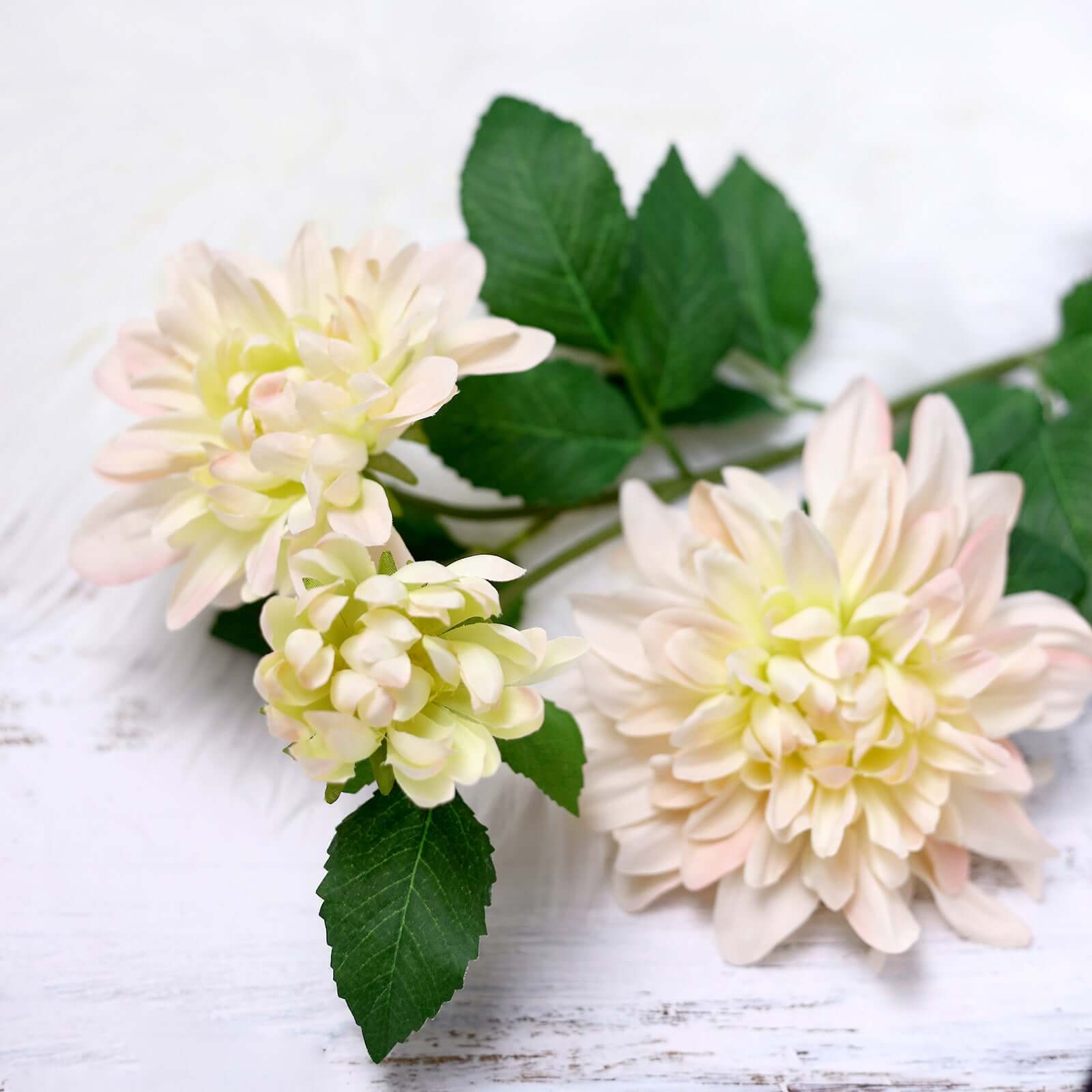 30 Tall Blush Cream Artificial Dahlia Silk Flower Stems, Faux Floral Spray