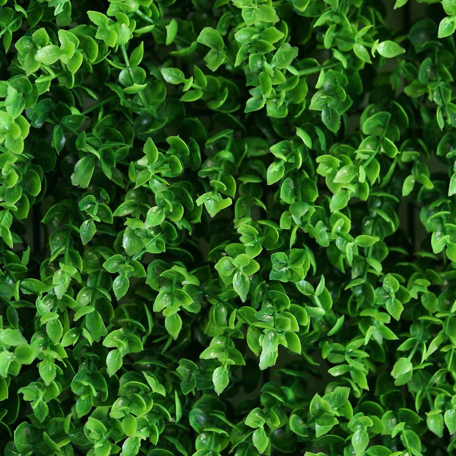 11 Sq ft. Artificial Baby Green Boxwood Hedge Garden Wall Backdrop Mat - 4 Panels