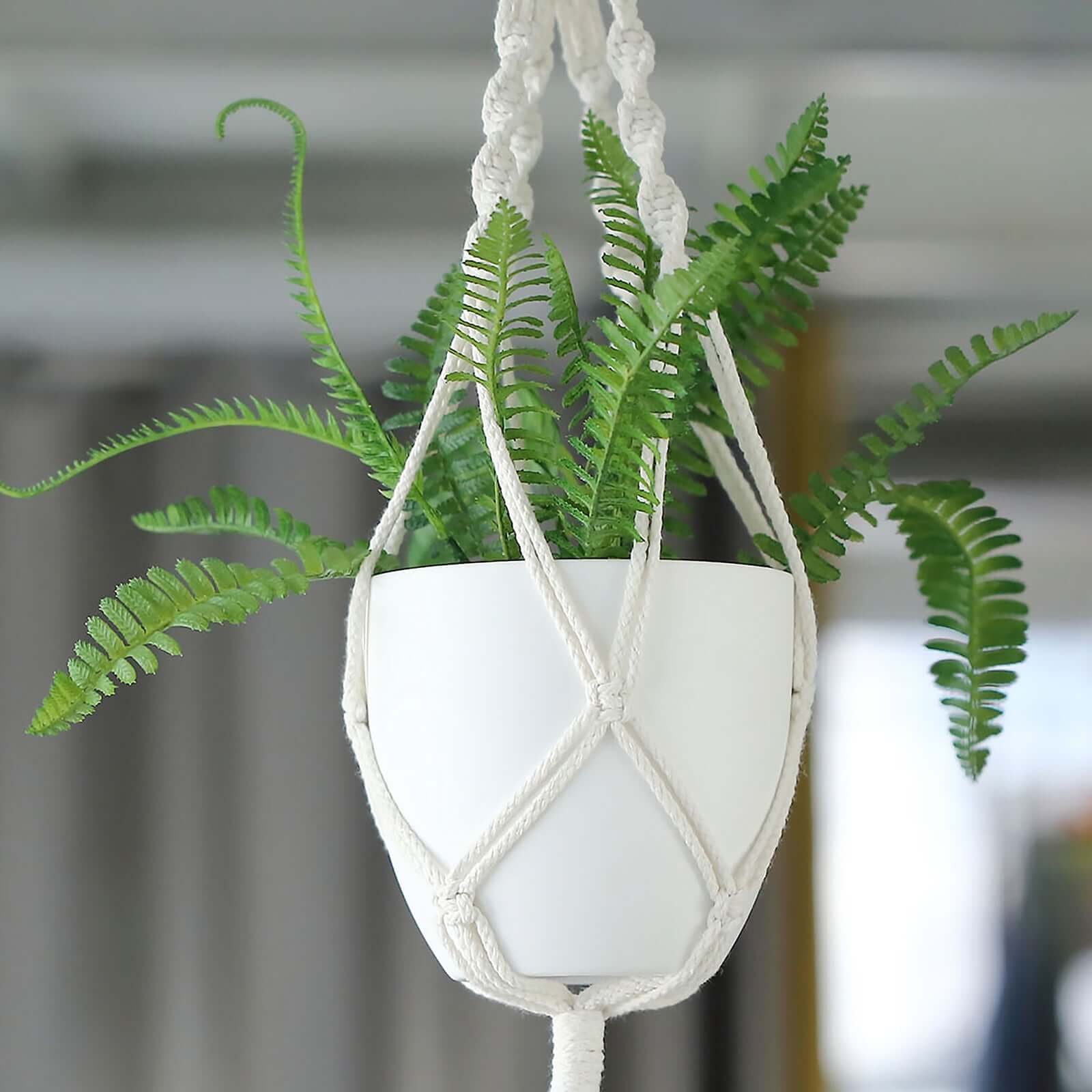 2-Pack Planter Pots Indoor Macrame Holder Design White - Plastic Plant Pots 5.5