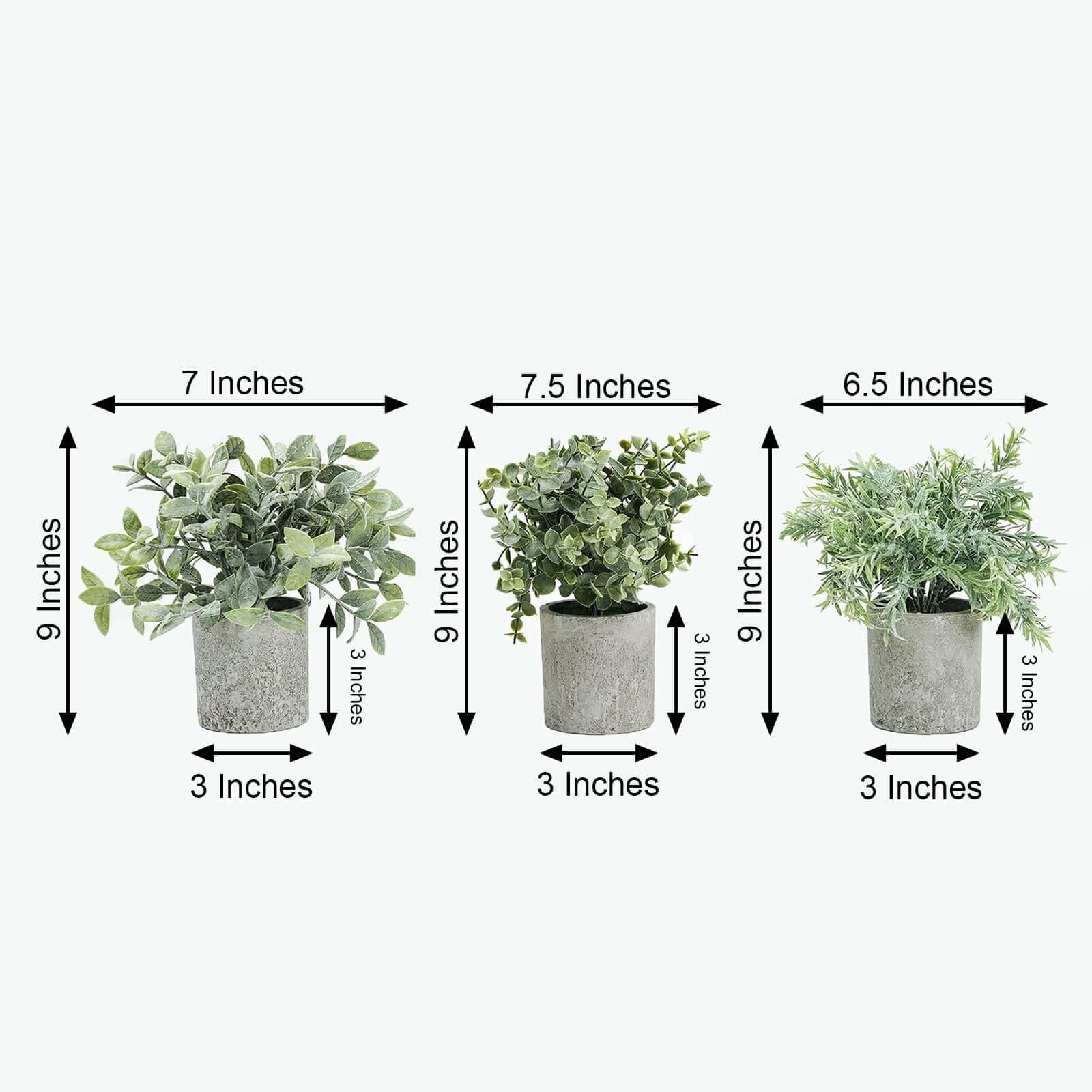 3 Plant Set Mini Potted Artificial Eucalyptus, Rosemary and Boxwood Faux Planter Collection - Small Decorative Faux Herb Garden for Desk Countertops Table Shelf Display 9