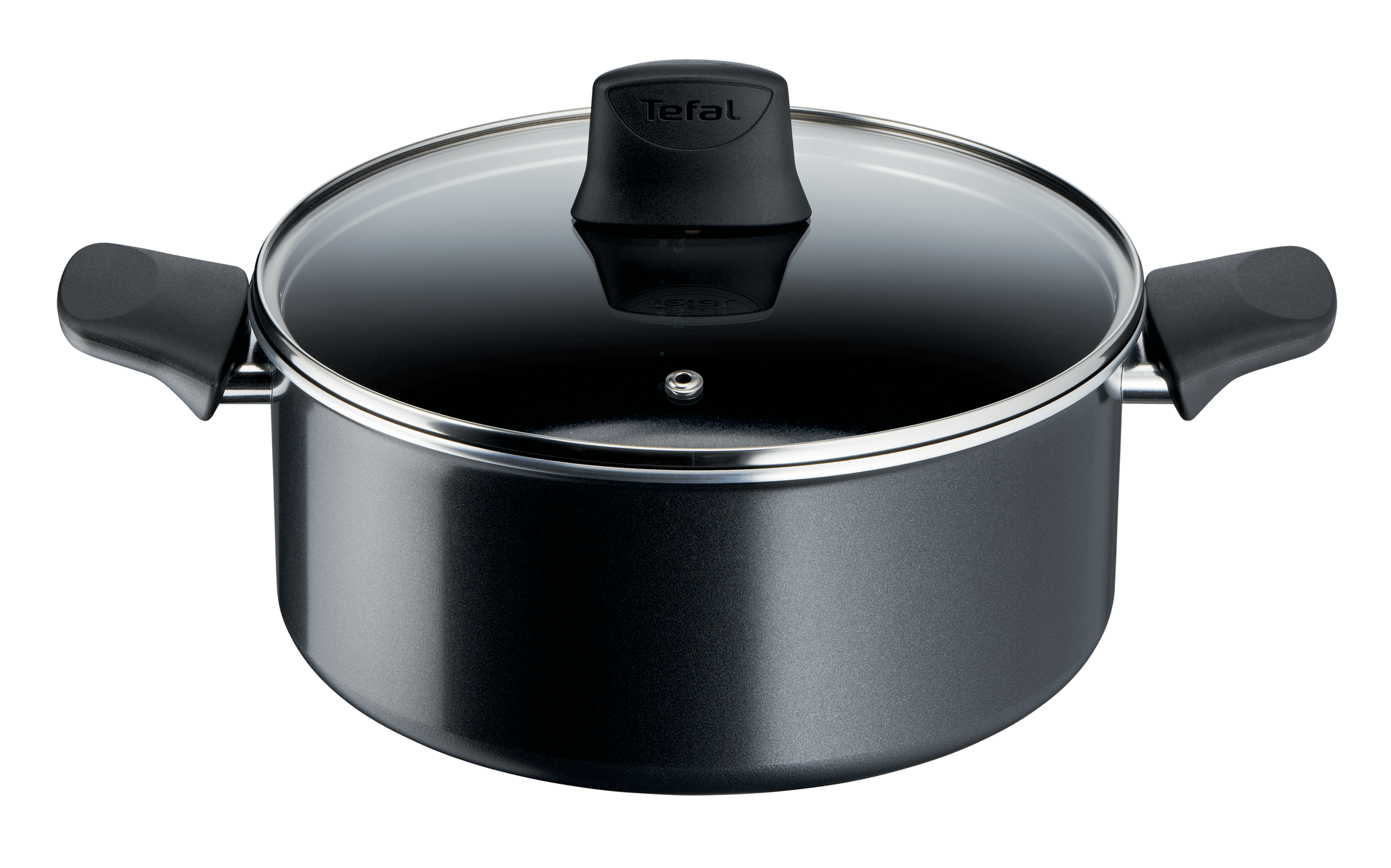 Tefal Generous Cook Non-Stick Induction Stewpot 24cm/4.5L + Lid